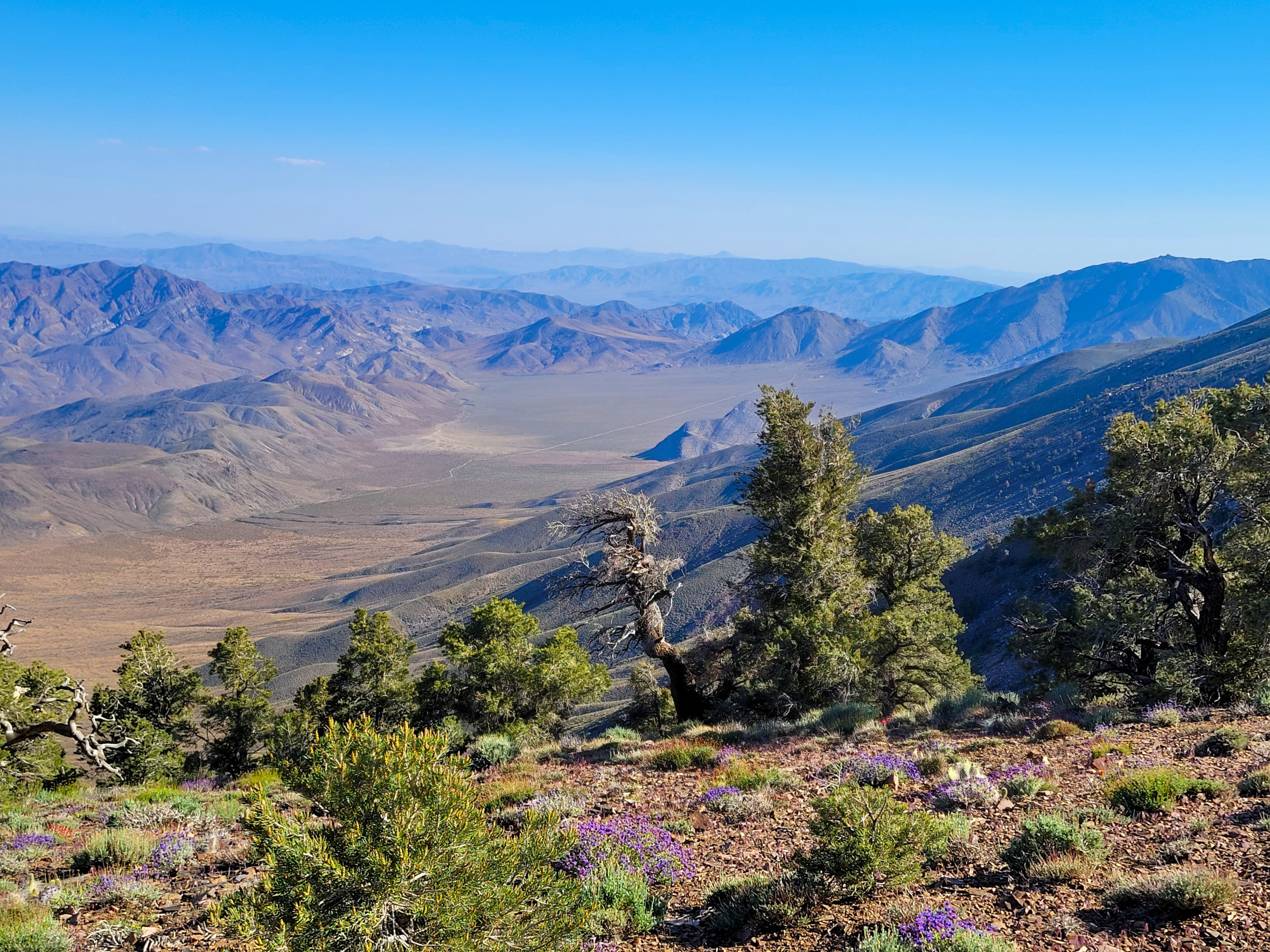 Death Valley desert landscape