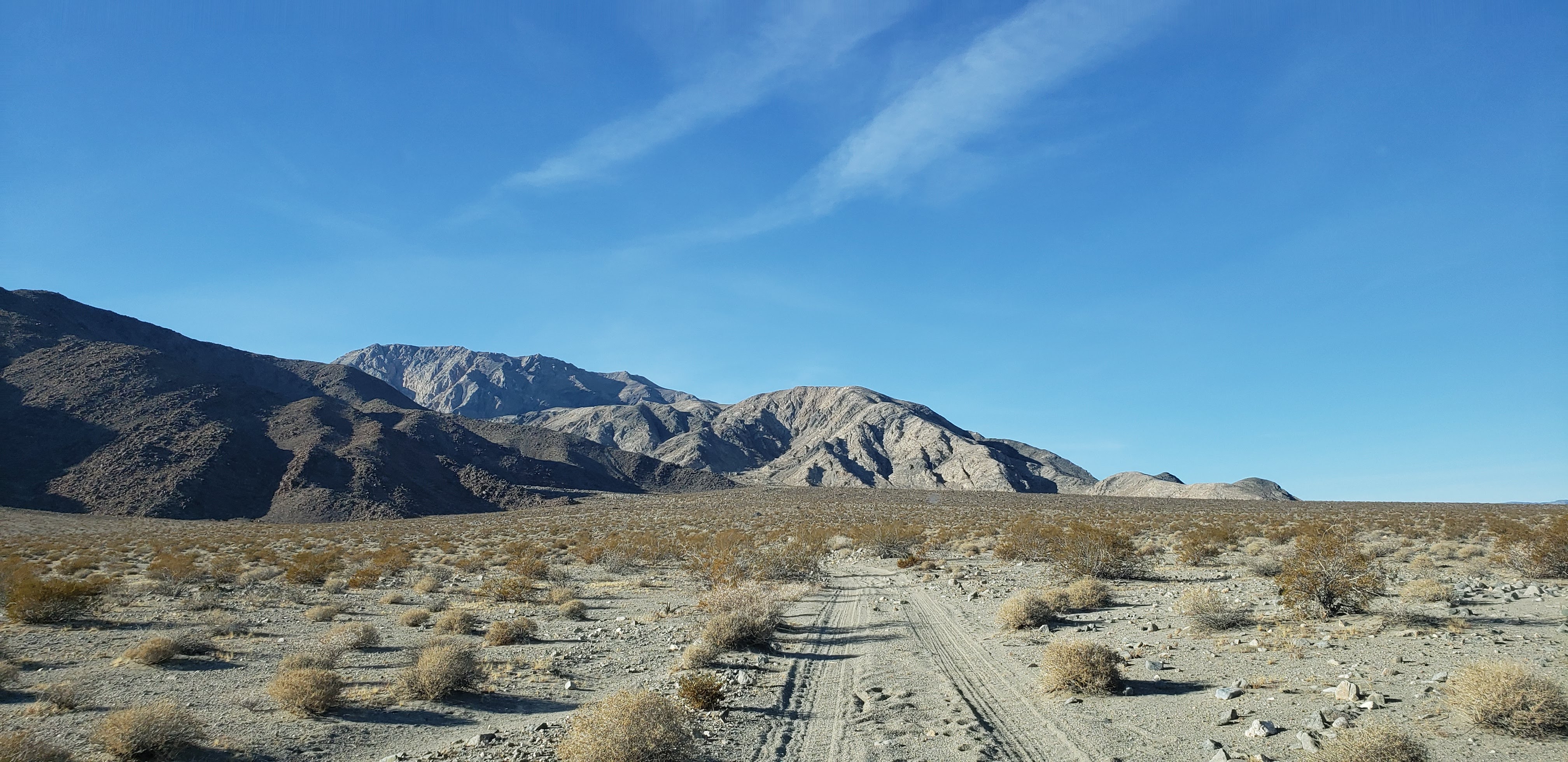 Tire tracks in a dirt trail.