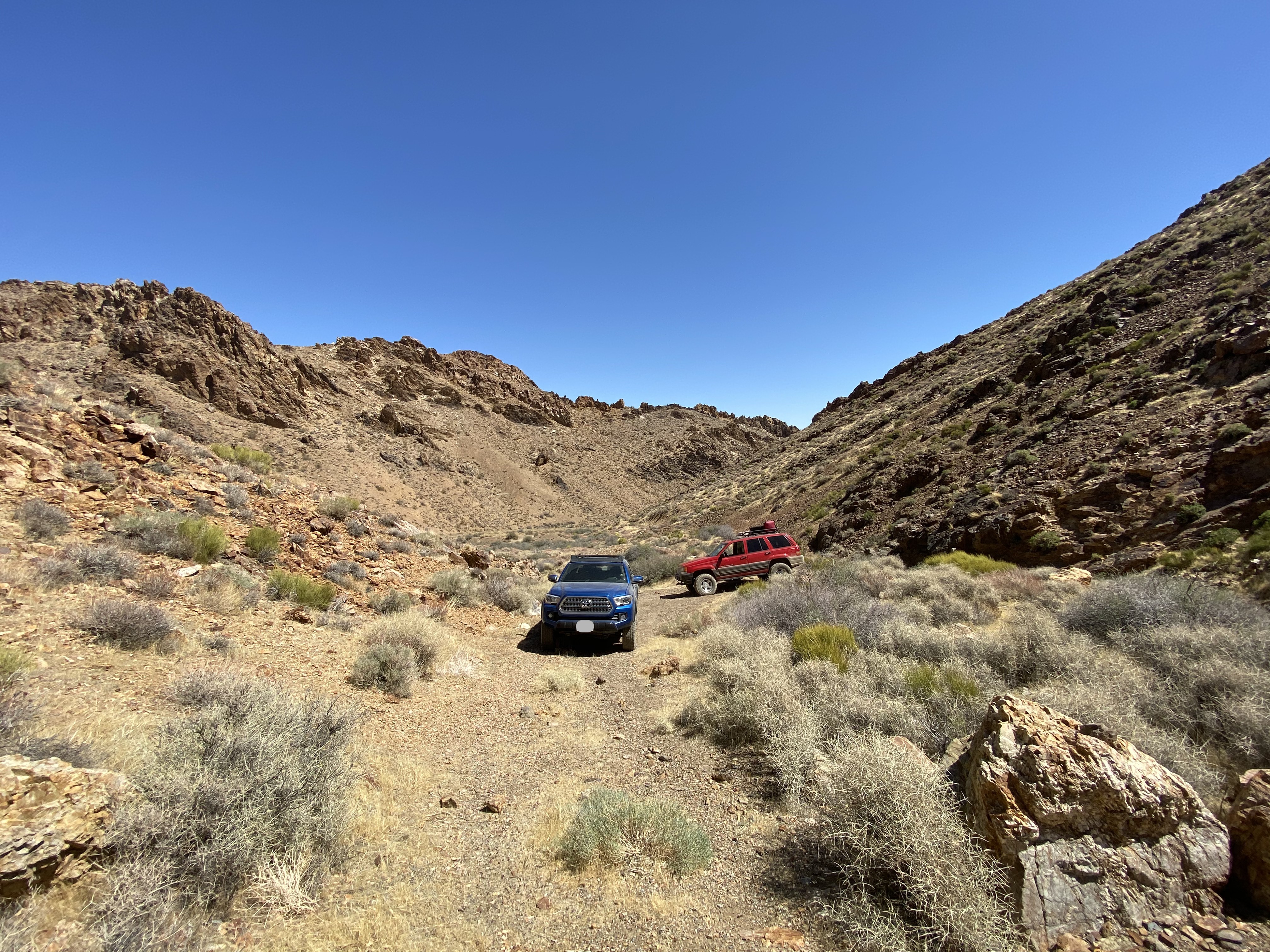A blue Tacoma and a red Jeep ZJ in a desert canyon.
