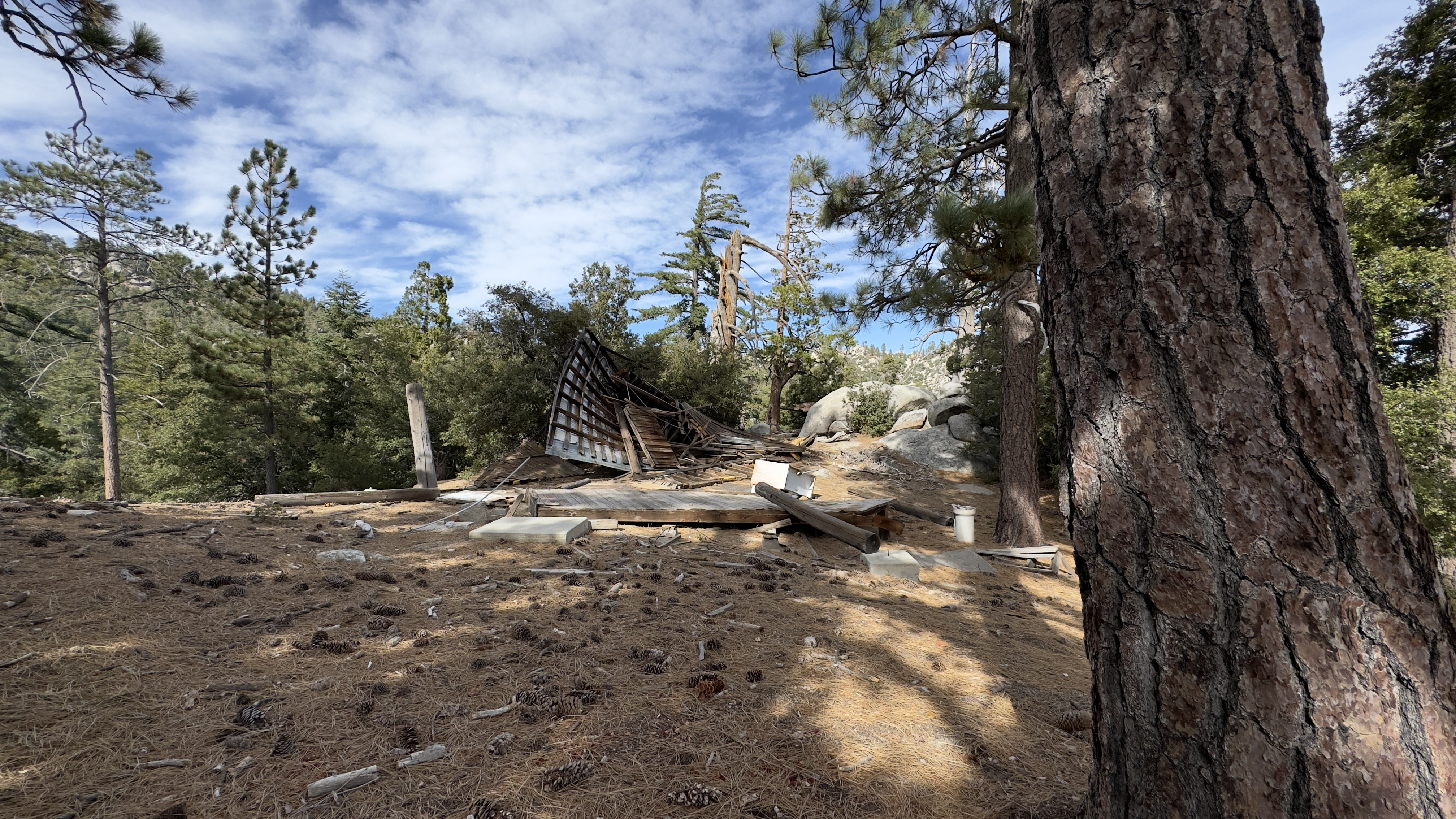 Remains of a collapsed wood building, surrounded by trees.