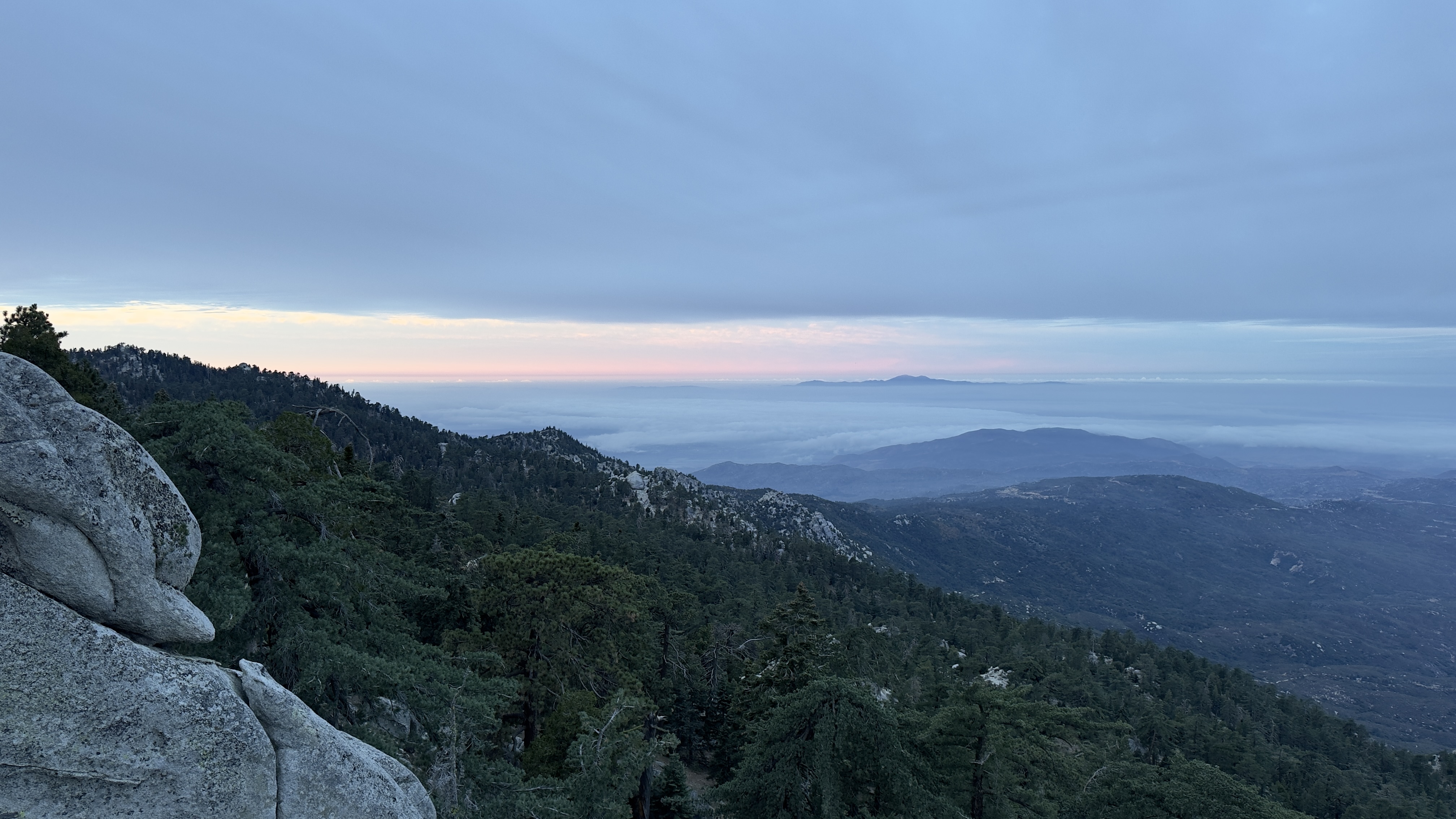 Mountainside with rocks and trees.