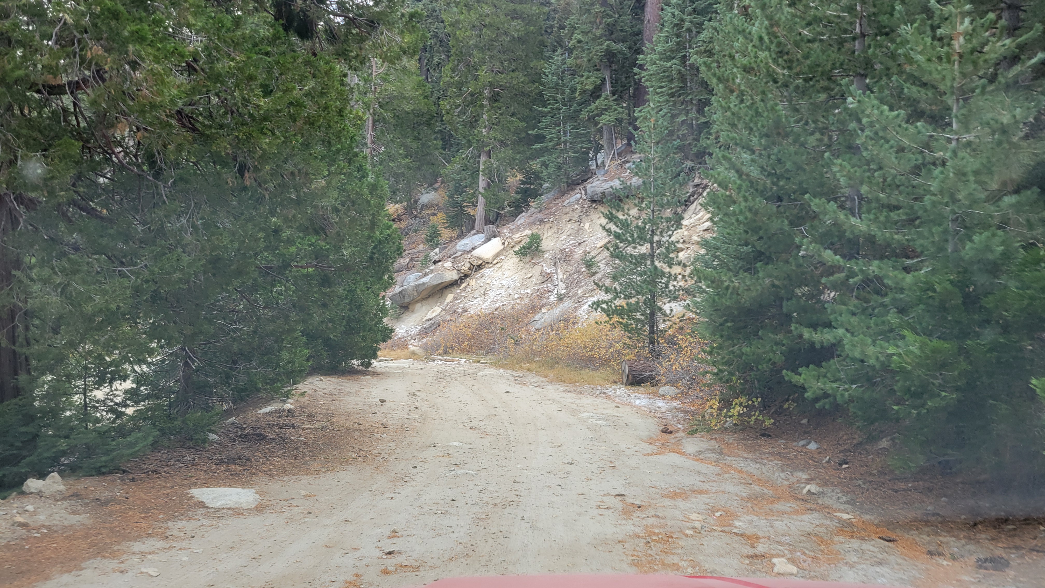 Dirt road with trees on both sides.