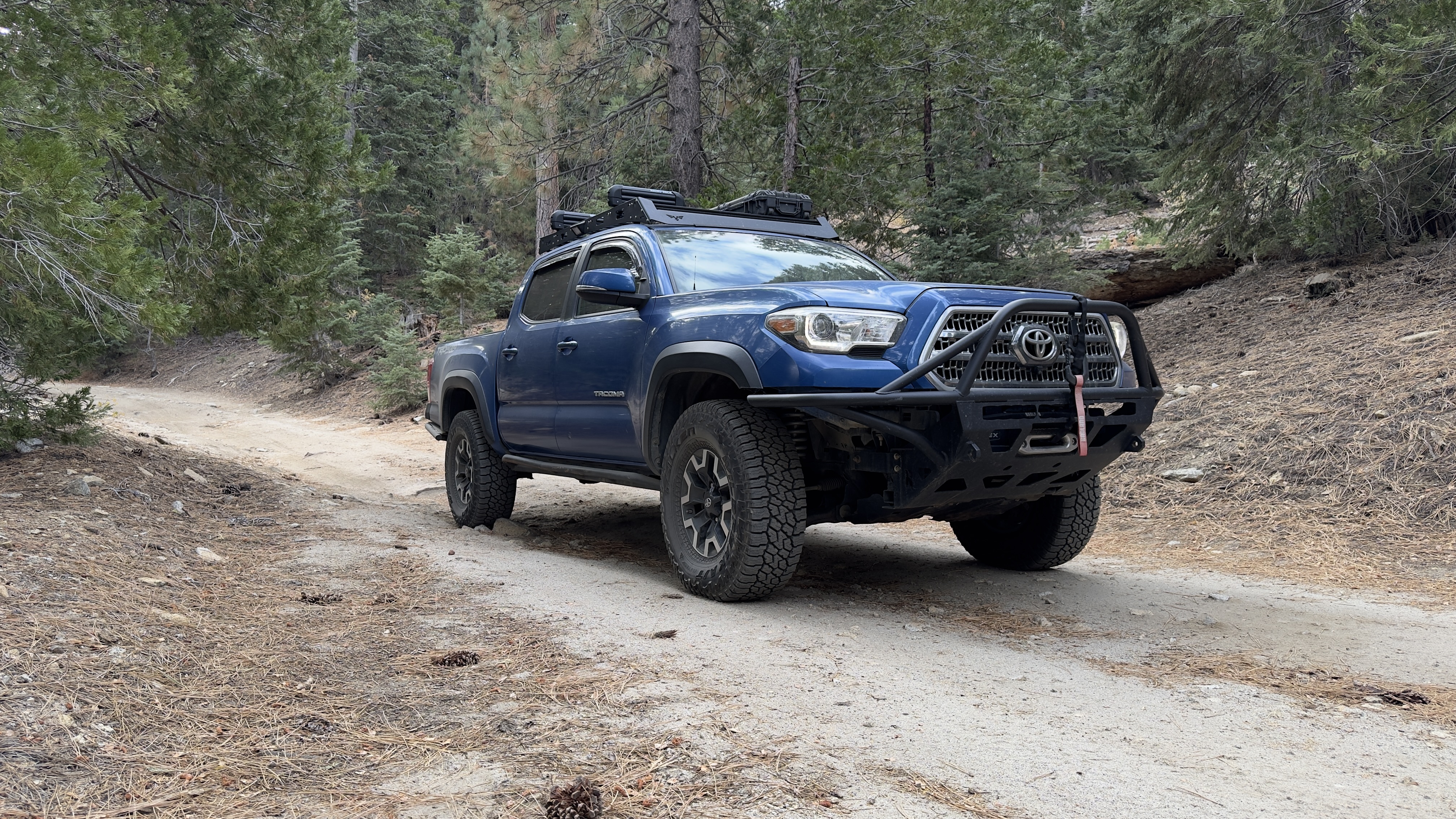 Blue Tacoma on a dirt trail.